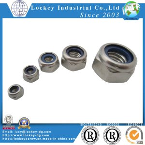 Ss 304 Hex Nylon Lock Nut